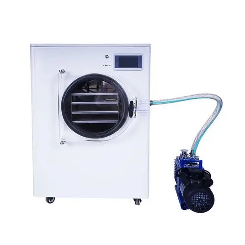 fruit dryer machine argos4