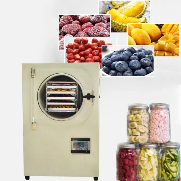 drying machine for food9