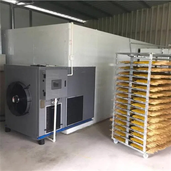 fruit and vegetable dryer machine3