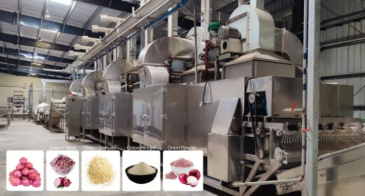 onion dehydration machine