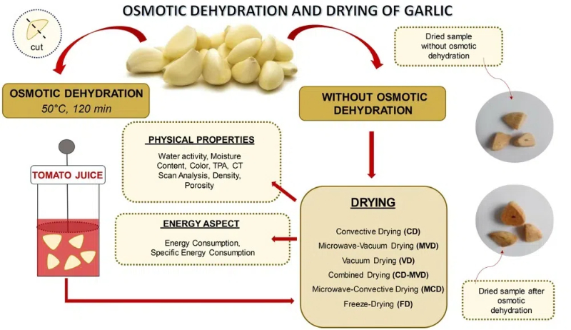 osmotic dehydration machine2