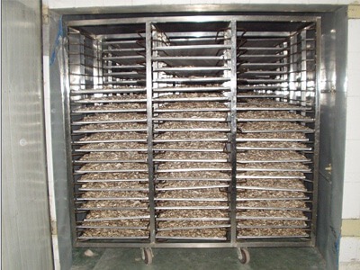 ginger dehydration machine