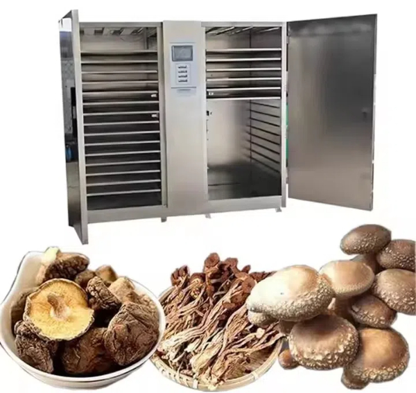 wholesale hot air mushroom dehydration drying machine2