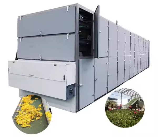 How To Select The Best Hemp Leaf Mesh Belt Dehydration Machine?