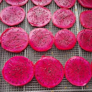 Dragon Fruit Drying Machine 