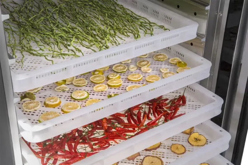Sustainable Food Preservation Why Choose A Cabinet Type Dehydrator1