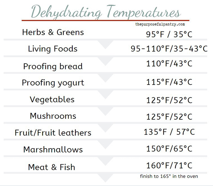 how hot does a food dehydrator get3