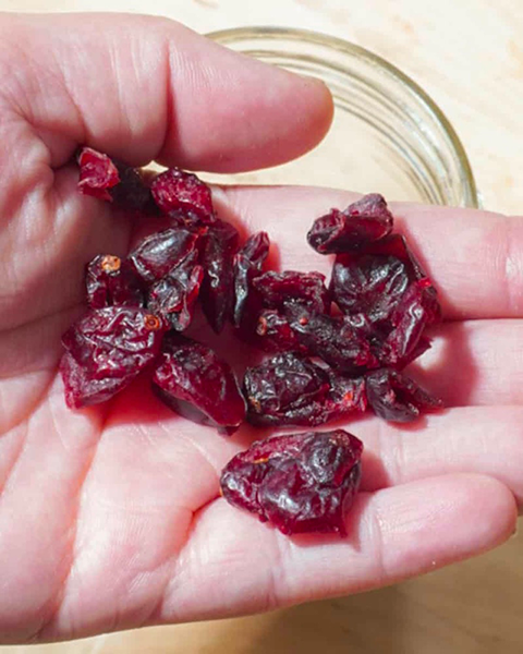 how to use a food dehydrator for fruit2