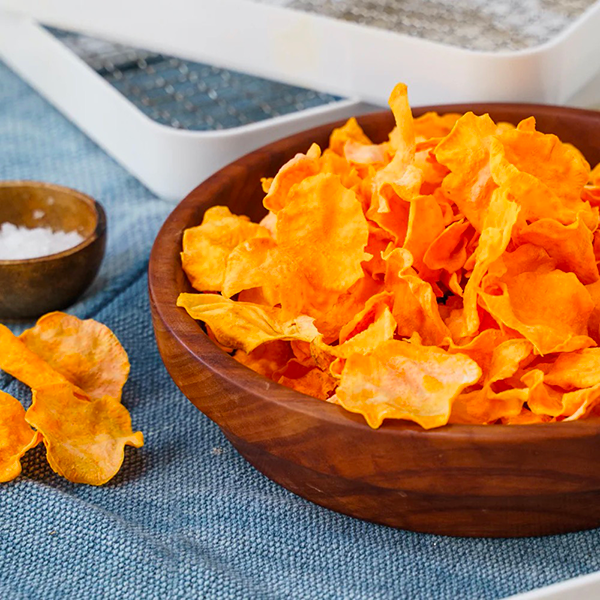 can you make potato chips in a food dehydrator1