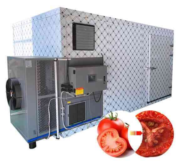 What Can You Make in A Food Dehydrator?