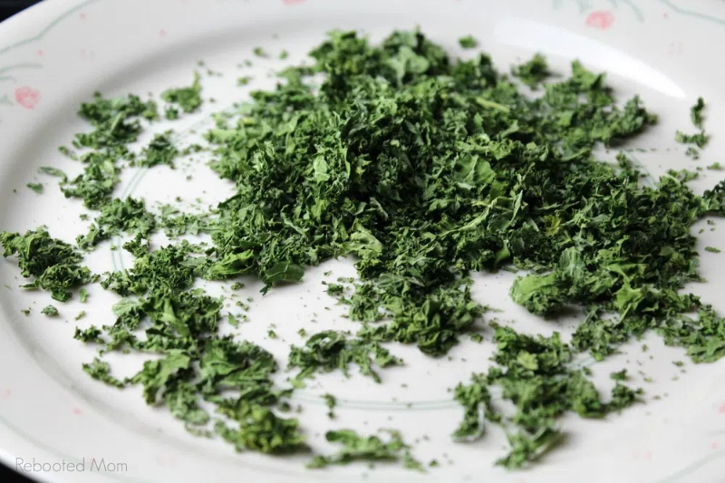 How To Dehydrate Kale in A Food Dehydrator?