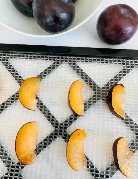 how to dehydrate plums in food dehydrator2