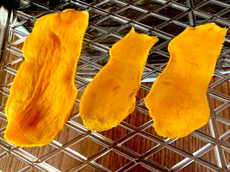 how to dry mango in food dehydrator2