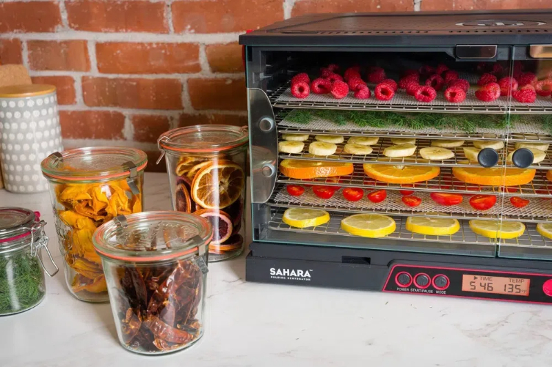 Advantages of Using A Cabinet Type Dehydrator for Food Preservation