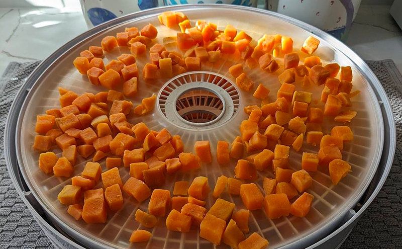 is a food dehydrator worth it2