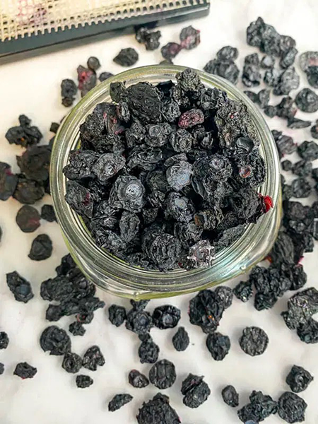 how to dehydrate blueberries in a food dehydrator1