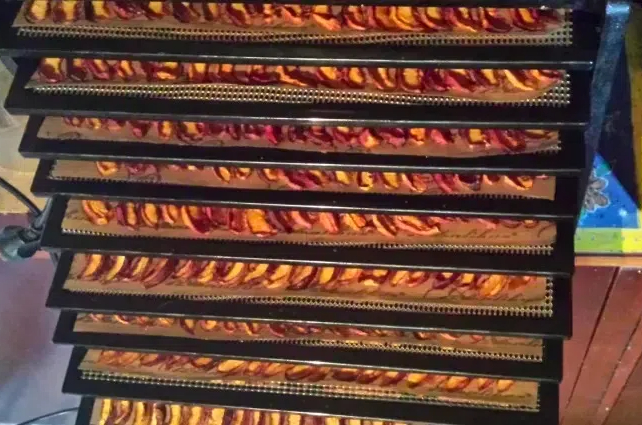 how to use excalibur food dehydrator