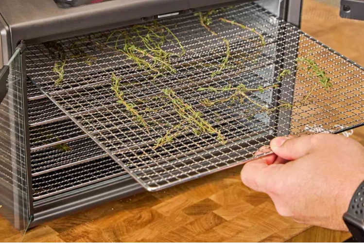 Meal Prep Made Easy with A Cabinet Type Dehydrator