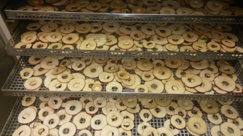 Smart Investments: Why Food Businesses Should Consider Cabinet Dryers