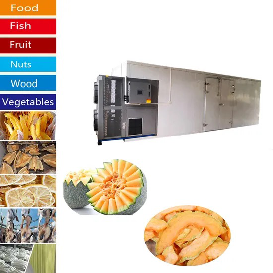 how to use food dehydrator1