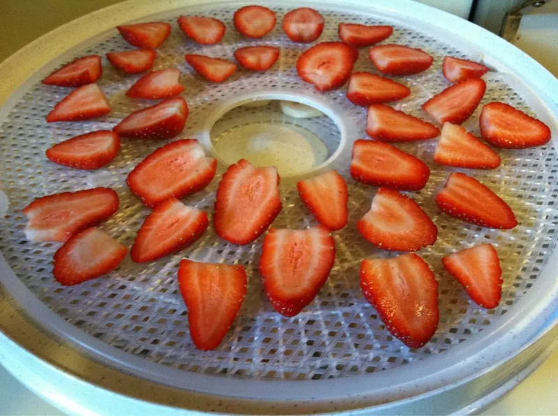 how to use nesco american harvest food dehydrator1