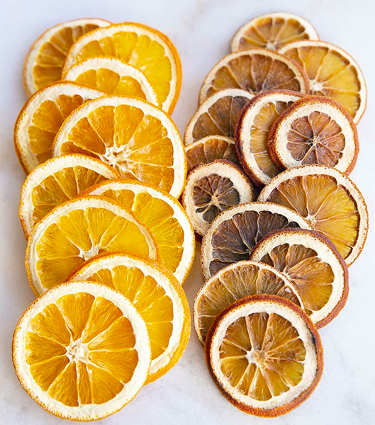 can you dehydrate oranges in food dehydrator3