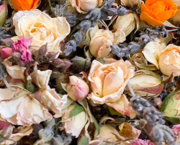 can you dehydrate flowers in a food dehydrator3