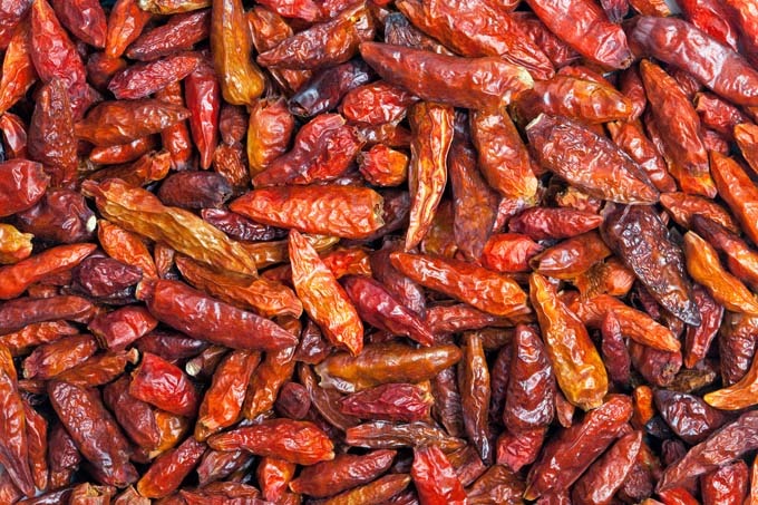 how to dehydrate peppers in a food dehydrator1