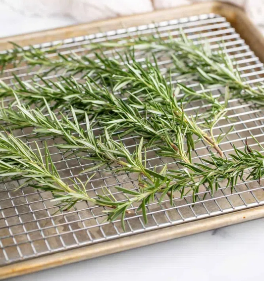 how to dehydrate rosemary in food dehydrator2