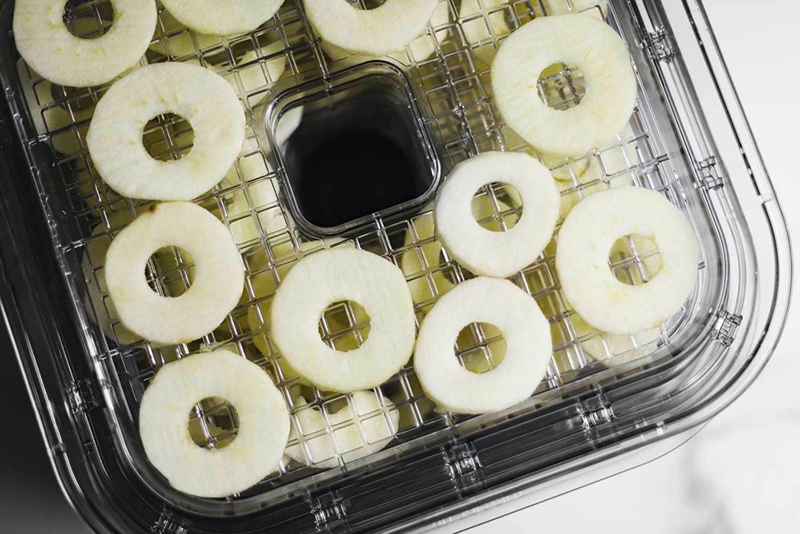 a food dehydrator1