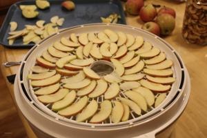 what to make in a food dehydrator3