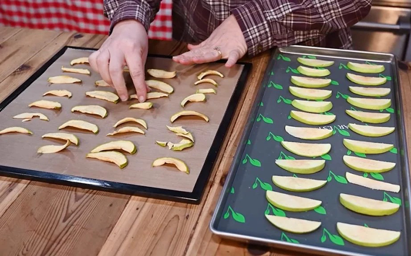Can You Freeze Dry Food in A Dehydrator?