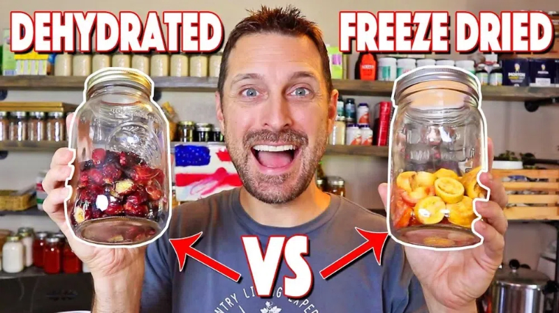 What's The Difference between Food Dehydrator And Freeze Dryer?