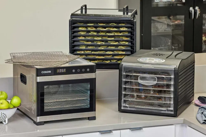 Top 10 Benefits of Using a Cabinet Type Dehydrator2
