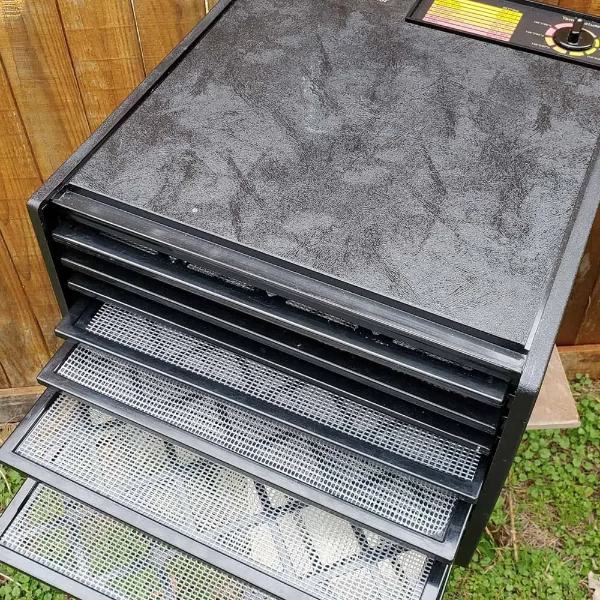 5 Common Mistakes When Using A Cabinet Type Dehydrator1