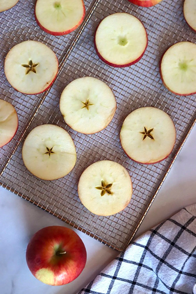 what does a food dehydrator do1
