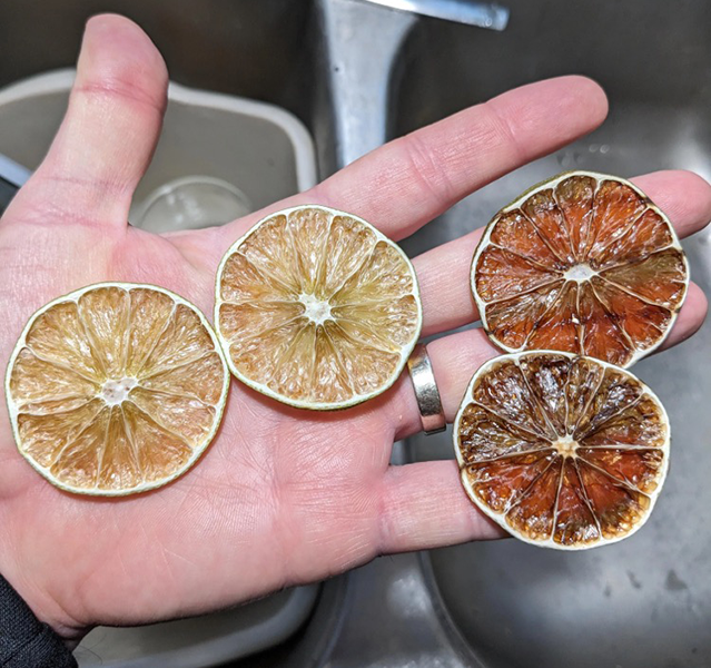 how much energy does a food dehydrator use2