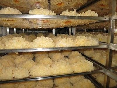 advantages of heat pump dryer1