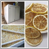 fruit dryer machine ireland1
