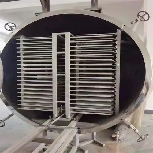 fruit dryer machine philippines1