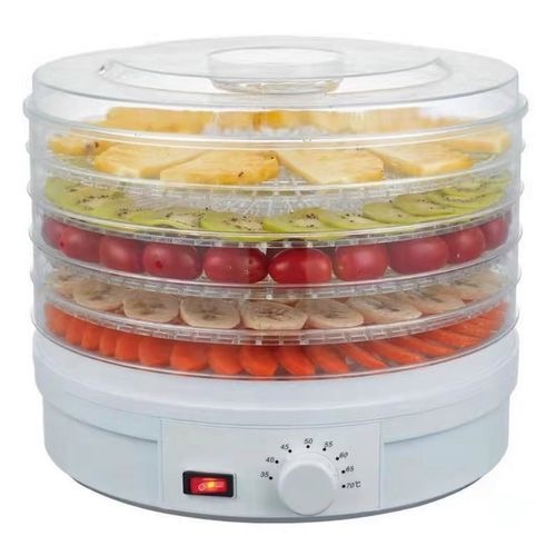 fruit dryer machine singapore3