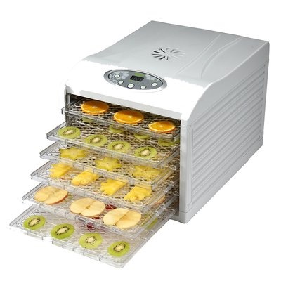 wholesale dryer fruit machine4
