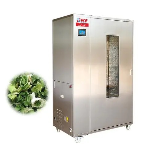 fruit dryer machines1