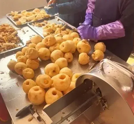fruit drying machine dryer3