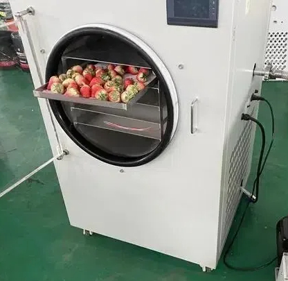 freeze dried food machine cost1
