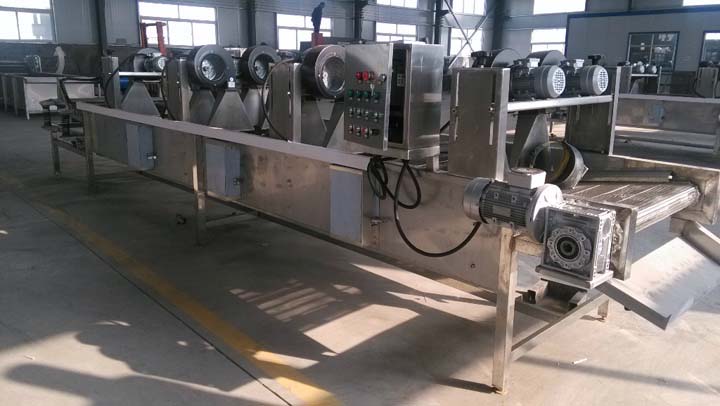 fruit and vegetable dryer machine2