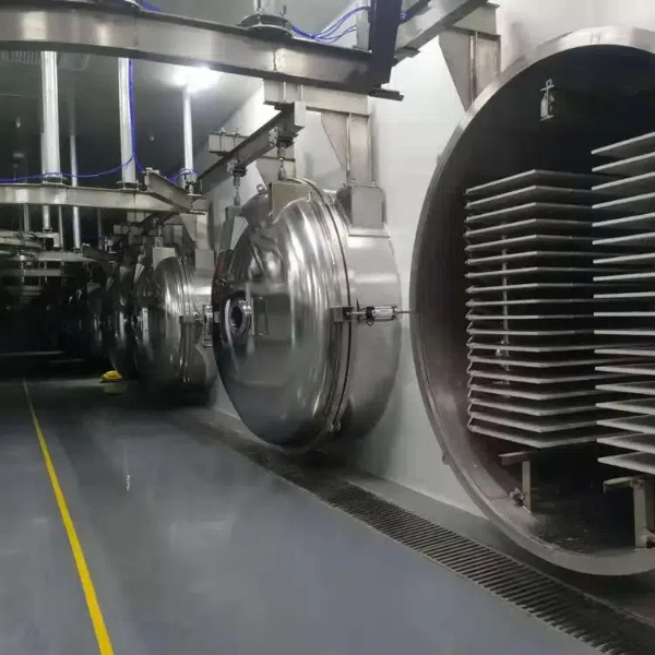 How Commercial Fruit Dryers Are Changing The Food Industry?