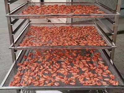 fish shrimp seafood drying machine manufacturers