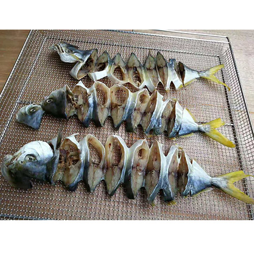 Fish Drying Machine