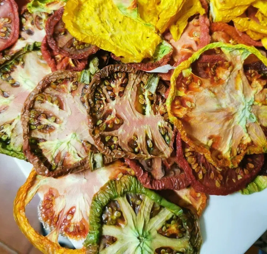 How To Keep Food Dehydrator Machine Cold To Speed Up?